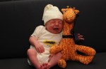 Newborn baby crying posed with stuffed giraffe on navy sofa