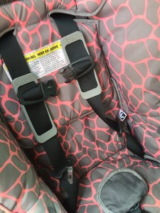 Five point harness restraint on a Britax Marathon convertible car seat