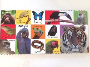 Inside a page spread on jungle animals of First 100 Animals bright baby board book