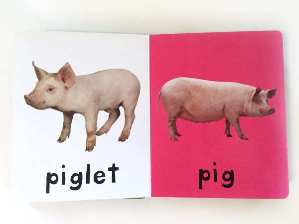 Bright Baby farm board book pig and piglet page on white and bright pink background