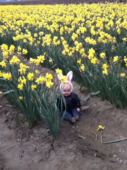 Infant sitting in field of daffodils wearing white bunny ears on headband