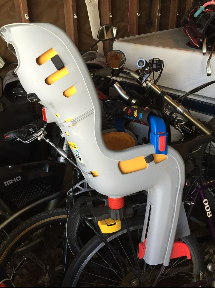 Toddler Bike Seat