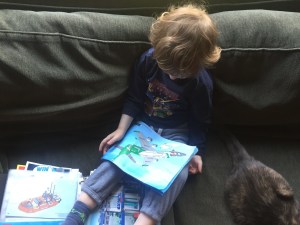 Preschooler looking at Lego instruction booklet from stored collection inside page protectors from three ring binder