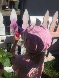 Girl spraying white picket fence with sidewalk chalk