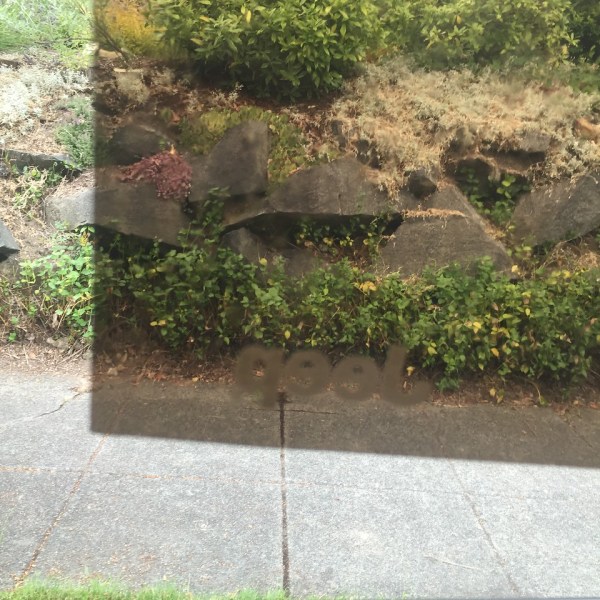 Car window cling installed on window as seen from inside