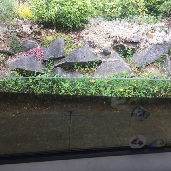 Car window partially opened with cling shade installed