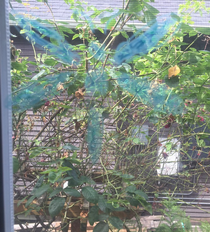 Window Markers – Practically Apparent