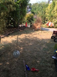 Wiffle ball hung on string in yard suspended from tree branch