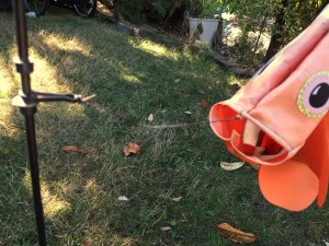 Clownfish close up windsock kite yard display