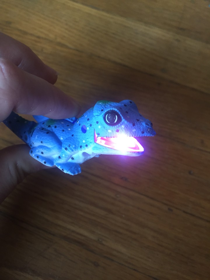 Animal flashlight lit mouth open blue lizard