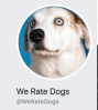 We Rate Dogs profile photo Facebook