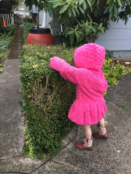 Child reaching into bush to find Easter egg