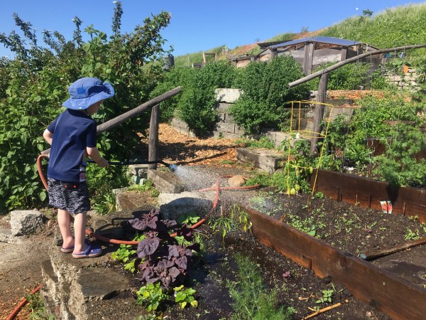 Child watering garden with hose