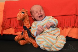 Newborn infant posed on sofa with giraffe stuffed animal screaming crying