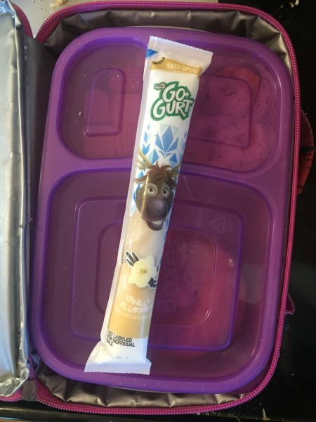 Gogurt frozen yogurt tube for kid snacks keeping lunch box cold