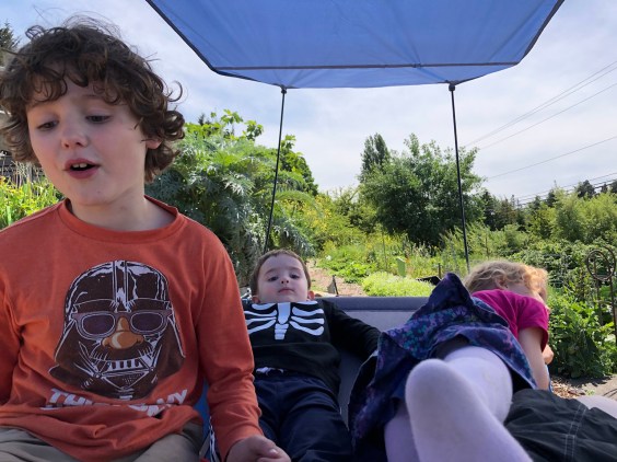 Mac Sports Portable hammock with shade with three kids lounging on it