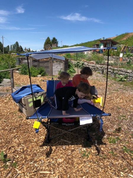 Mac Sports Portable Fold Up Hammock in blue and gray with shade set up in garden on sunny day with three kids on it
