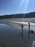 kids on beach with wet sand and tidal pool sunshine reflecting off water