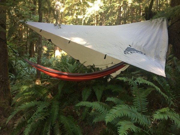 Eagles Nest Outfitters ENO doublenest orange hammock hanging over ferns under tarp