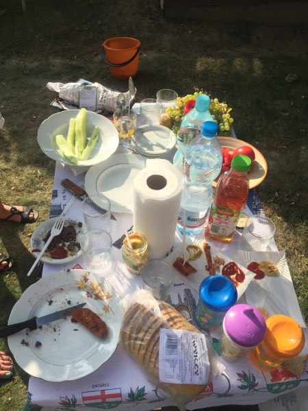Outdoor table with remains of picnic mostly empty plates, grapes, bottles of water, cucumber cut up