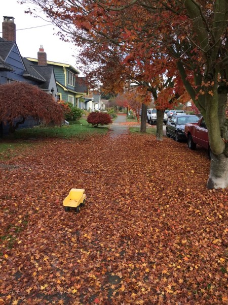 Tonka yellow dump truck on sidewalk covered in fallen leaves autumn fall