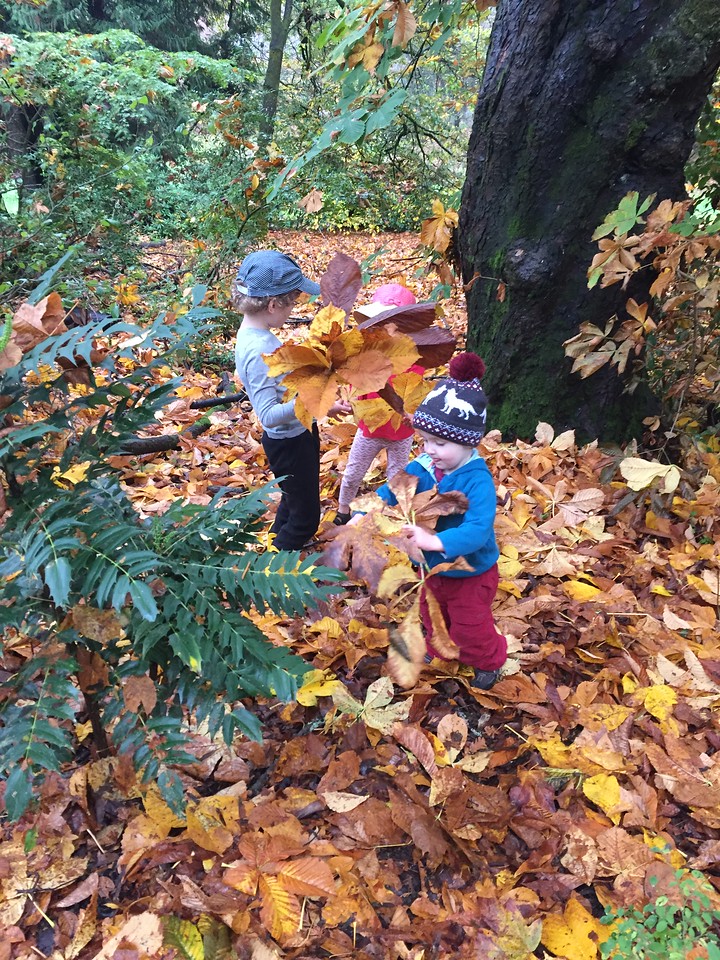 Happy Thanksgiving 2022 to&nbsp;You!