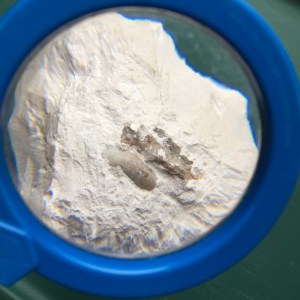 Learning Resources Kids Jumbo Magnifier magnifying glass in blue