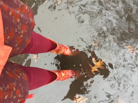 Sloggers women's waterproof rain and gardening boots in red paisley pattern submerged in puddle on sidewalk with leaves floating in it