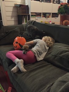 Child rolling on sofa with dog in lap and cat sleeping on cushion