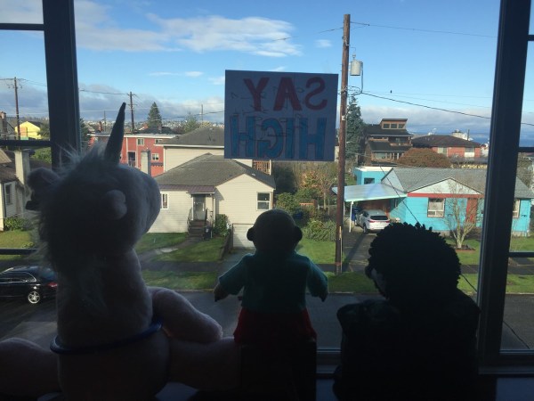 Crazy critter challenge stuffed animals in house window scavenger hunt unicorn meerkat and hedgehog