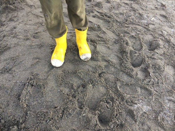 Crocs Bump It Boots in bright yellow with white toes worn by nine year old on beach in gray sand