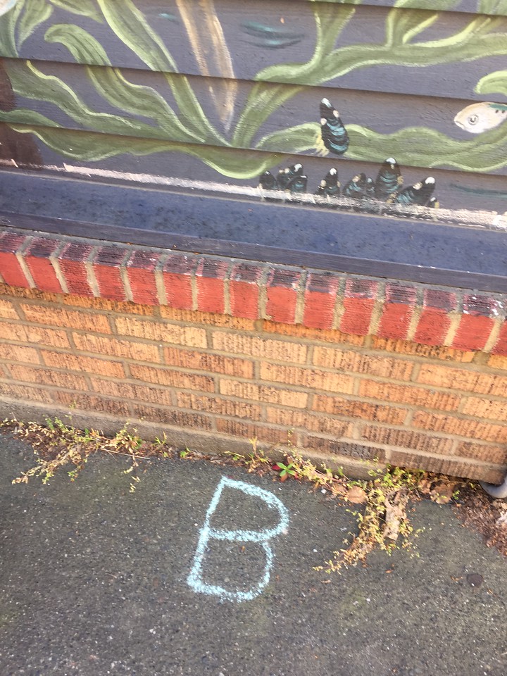 Sidewalk Scavenger Hunt