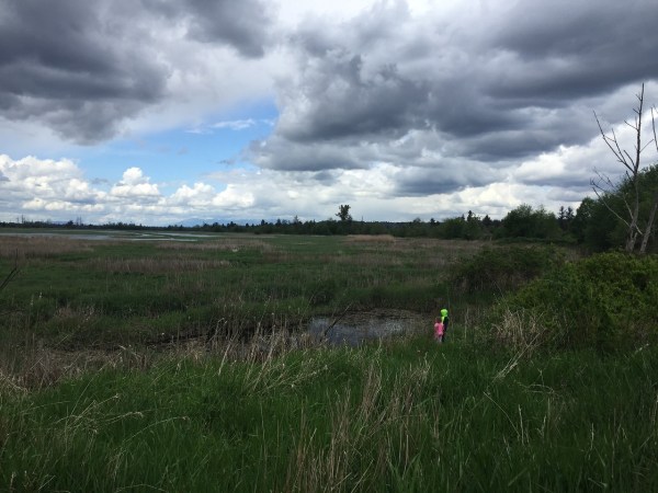 Kids playing in tall grass of wetlands on partly cloudy day