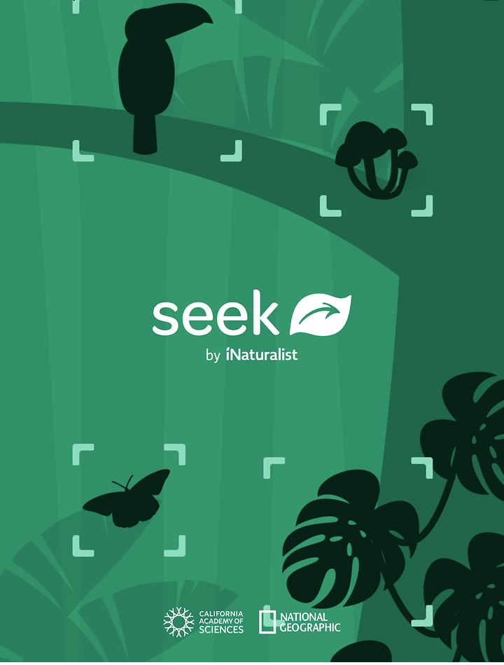 Seek App For&nbsp;Kids