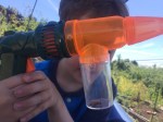 Toysmith Bug vacuum gun held by five year old with bug inside