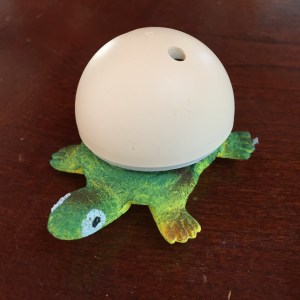 Hatch'ems from GeoCentral turtle peeking out from half shell