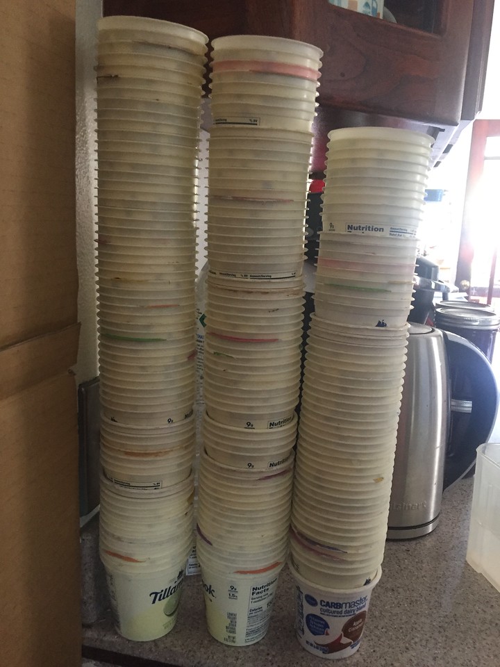 Yogurt Cup Overload