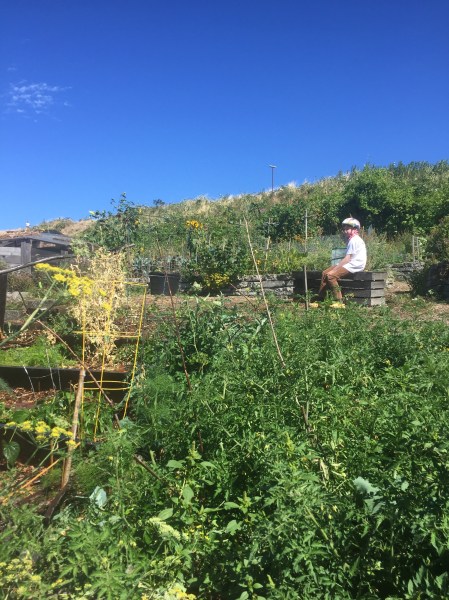 Child sitting on crate uphill with blue sky