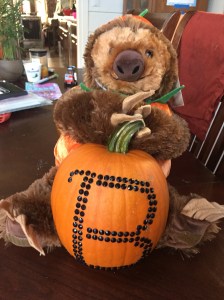 Stuffed sloth from Build a Bear wearing pumpkin costume holding pumpkin decorated with black adhesive rhinestone stickers