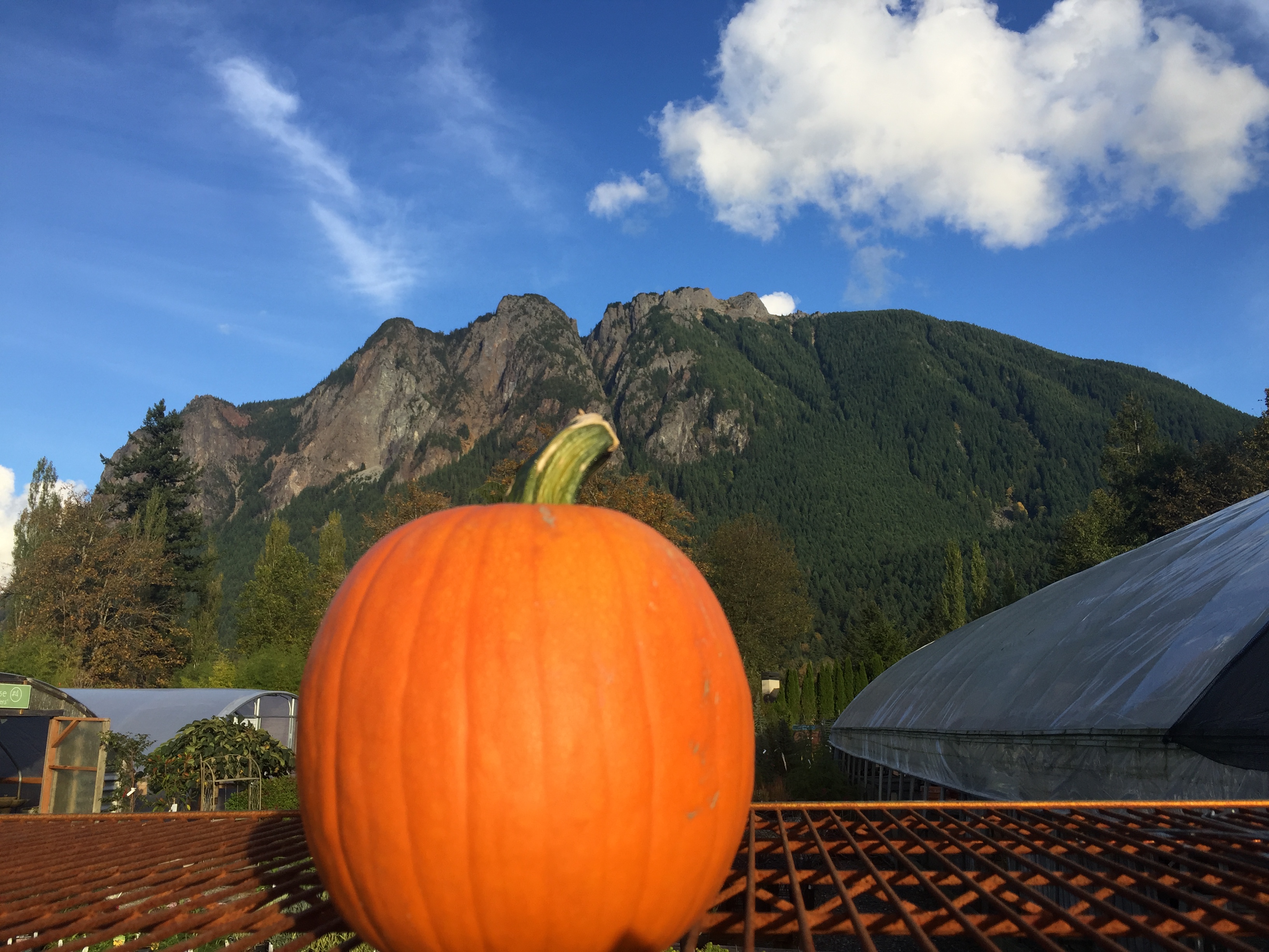 Pumpkin in front of Mt. Si Washington state