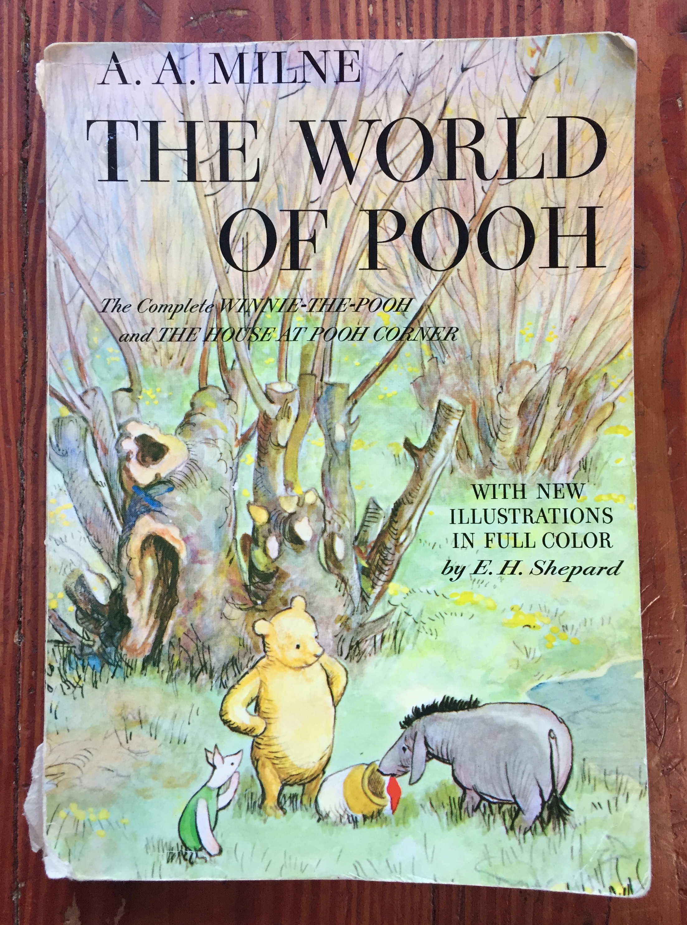 The World of Pooh