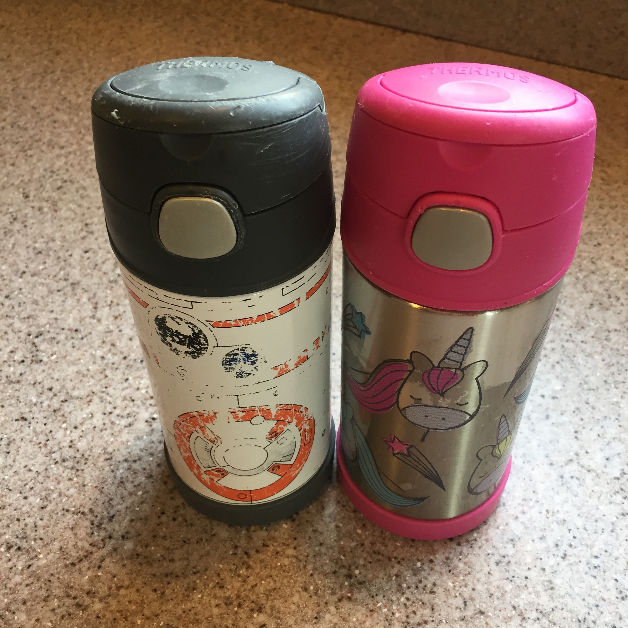 Thermos Funtainer kid stainless steel straw water bottle