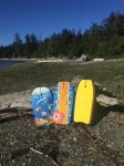 Boogie board bodyboard three lined up against log on beach