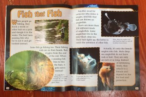 Click magazine article page spread on fish