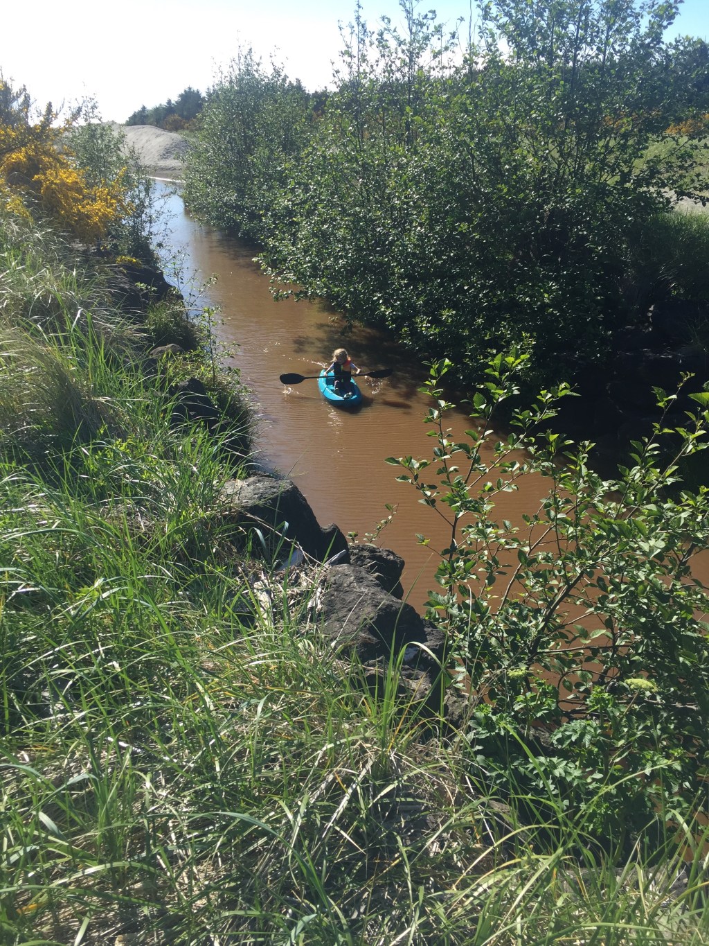 Lifetime Wave Youth&nbsp;Kayak