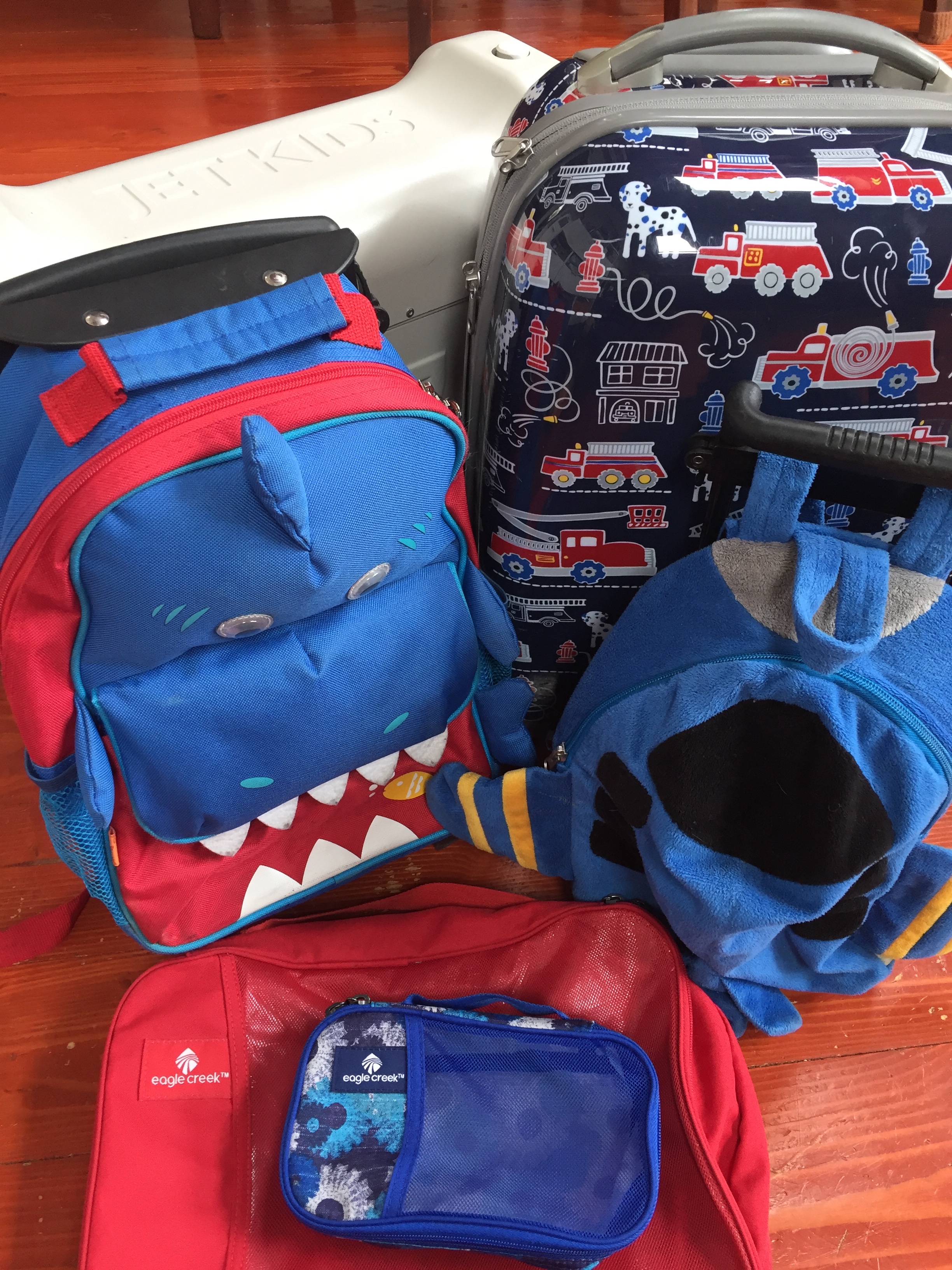 Luggage Options for Kids