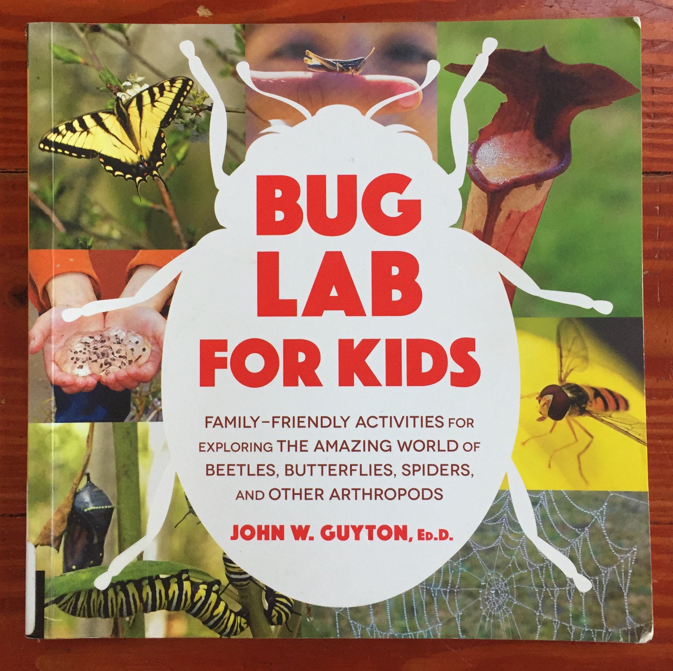 Bug Lab for Kids 