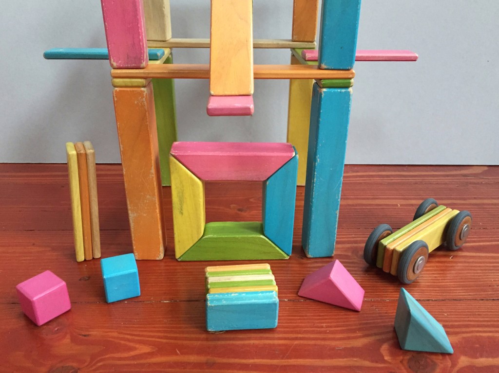 Tegu Magnetic Blocks