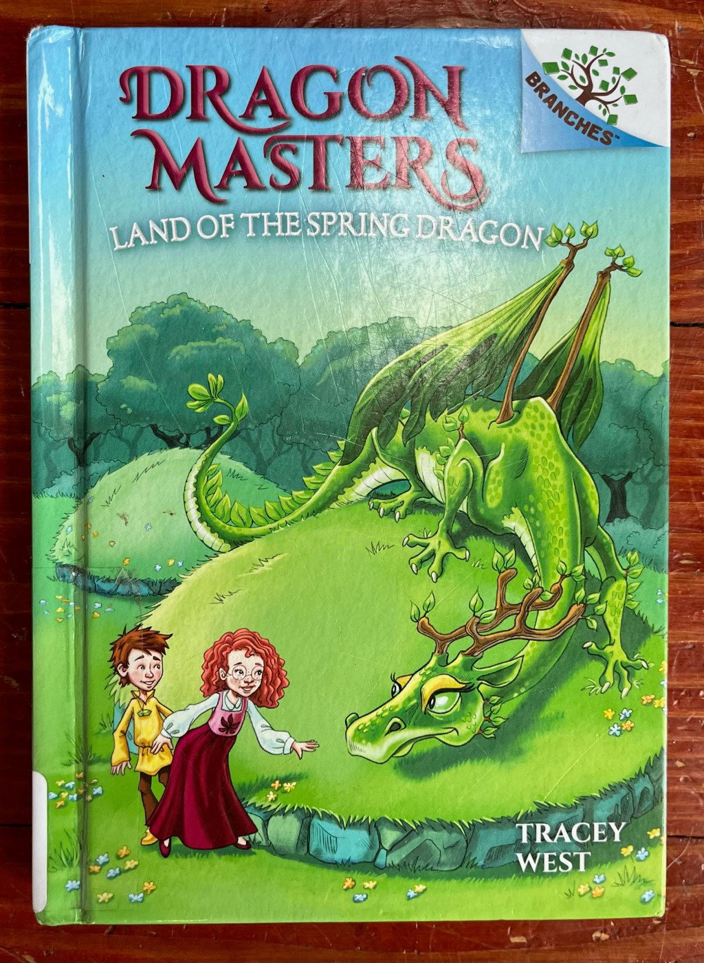 Dragon Masters Books