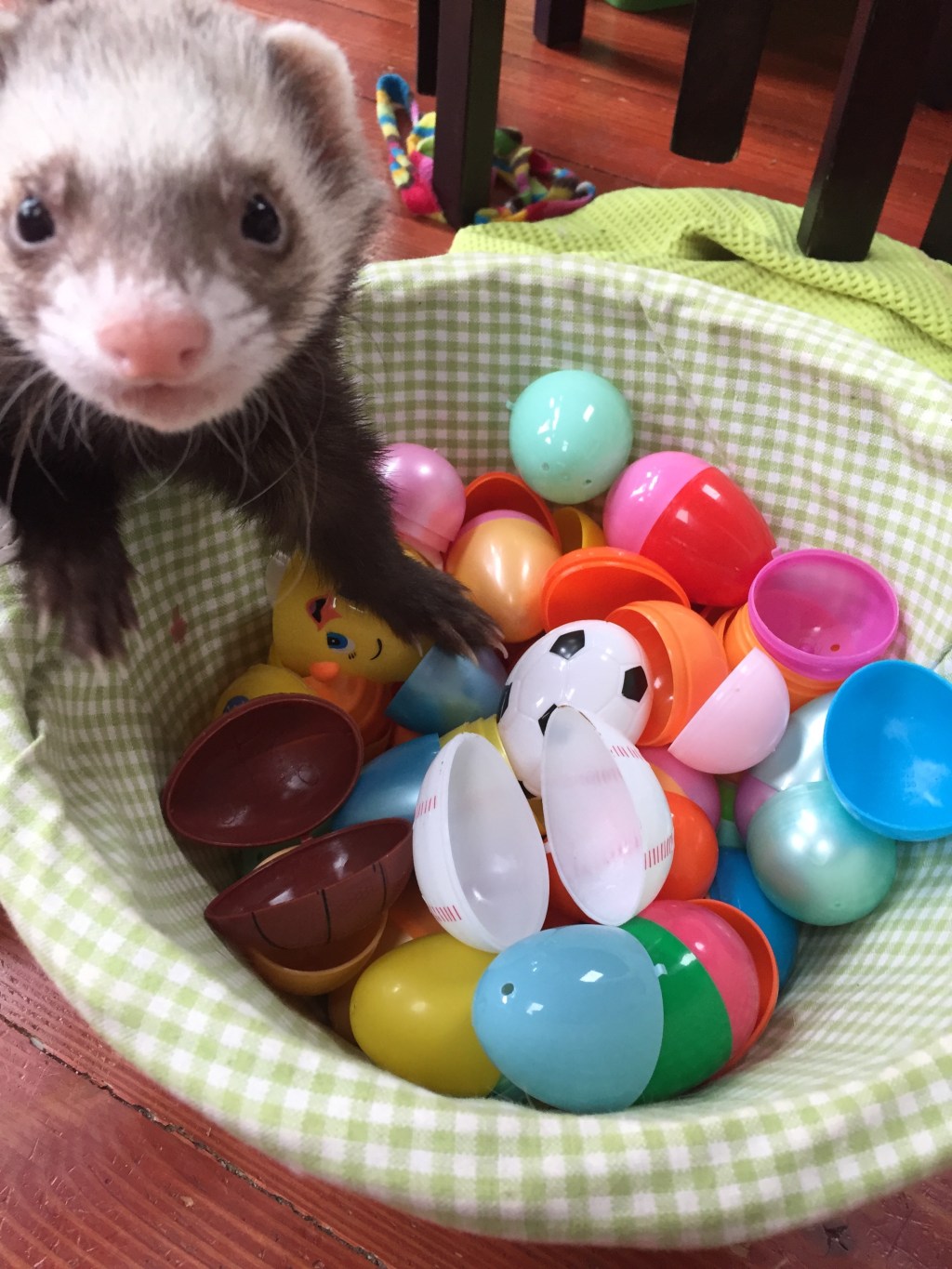 Best Easter Baskets